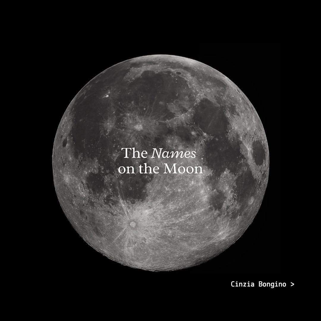 dataninjait's tweet image. 🌖 Anteprima di un #DataPitch a cui assisteremo alla prossima #DataninjaTalk realizzato da @cinziabongino per l’evento conclusivo del Data Journalism Training Program (@dataninjait+@EdjNet) 

🌔 Si può partecipare gratuitamente previa iscrizione &amp;gt; us02web.zoom.us/webinar/regist…