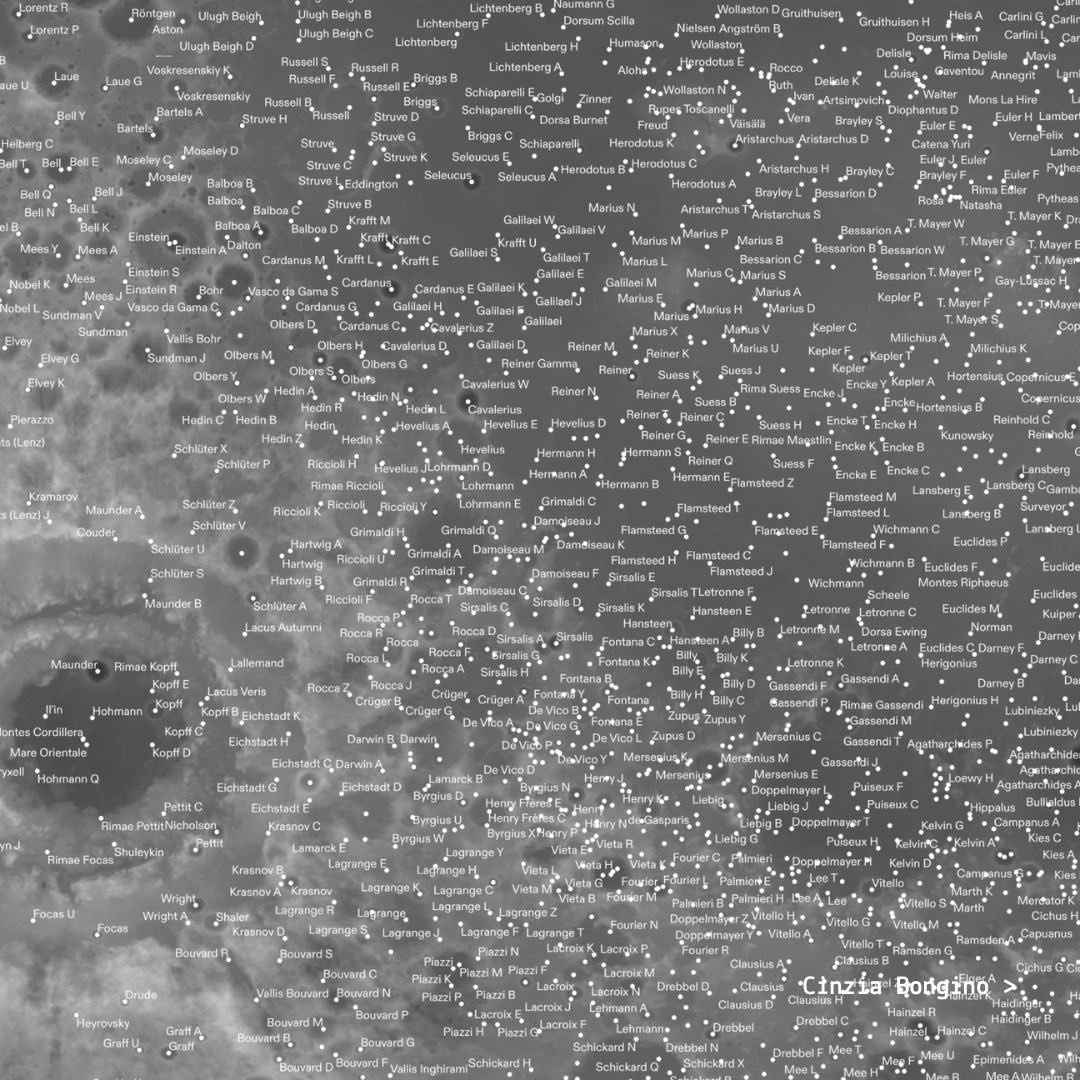 dataninjait's tweet image. 🌖 Anteprima di un #DataPitch a cui assisteremo alla prossima #DataninjaTalk realizzato da @cinziabongino per l’evento conclusivo del Data Journalism Training Program (@dataninjait+@EdjNet) 

🌔 Si può partecipare gratuitamente previa iscrizione &amp;gt; us02web.zoom.us/webinar/regist…