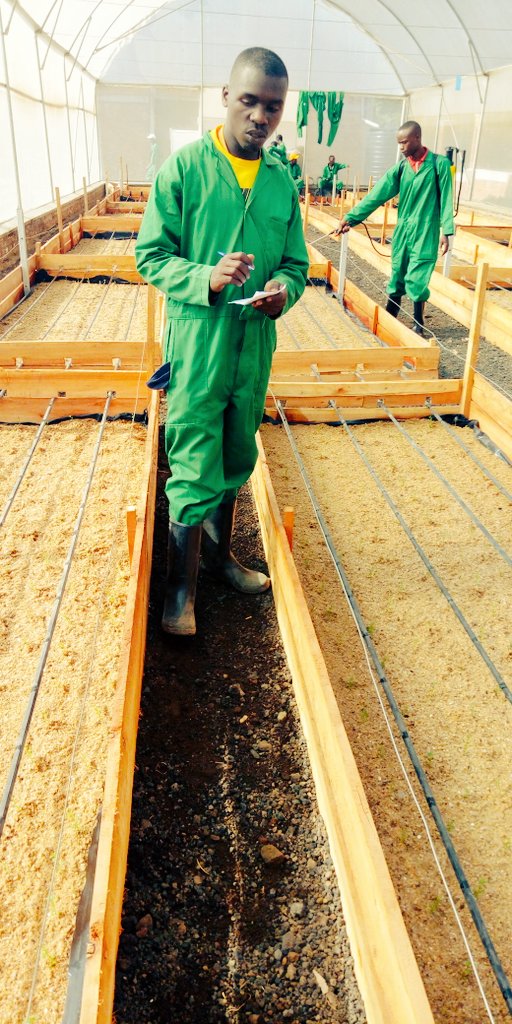 ZacharieNDAYIS5's tweet photo. An agents of changes👌

Engagement of the #youth in agriculture will feed the world 🥑🍓🥔💵 @YouthCultureRW https://t.co/YLSNzbOtn9