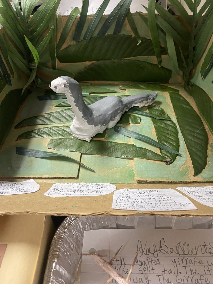 Just a few of some of the amazing animal adaptation projects our 5th graders brought in today! They were tasked to create an animal and design an adaptation that would change the way it lived. Proud of them for going above and beyond! #mpepanthers #science <a href="/mpelemschool/">Memorial Parkway EL</a>