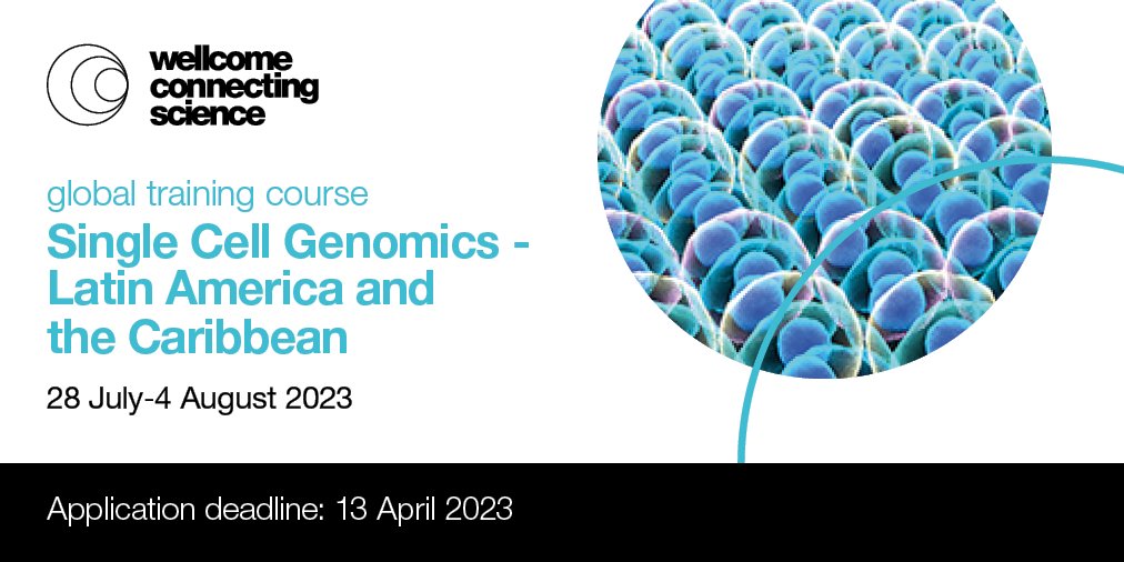 🚨 Attention Central America &amp; Caribbean researchers! Want to learn from the best in single cell genomics AND win a travel bursary to breathtaking Rio? Apply by April 13th for this amazing opportunity: rb.gy/yaa46l #SingleCell #Bioinformatics