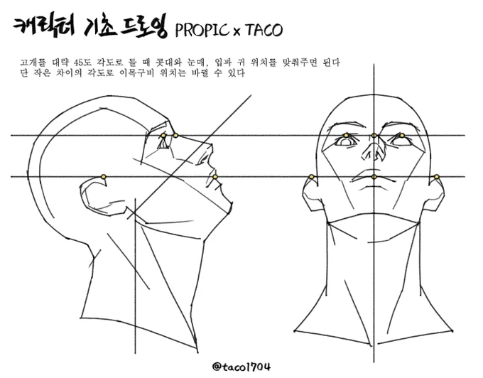 고개를 대략 45도 각도로 들 때 콧대와 눈매 그리고 입과 귀 위치를 맞춰준다 
(단 각도 차이가 생기면 이목구비 위치는 바뀌게 된다) 