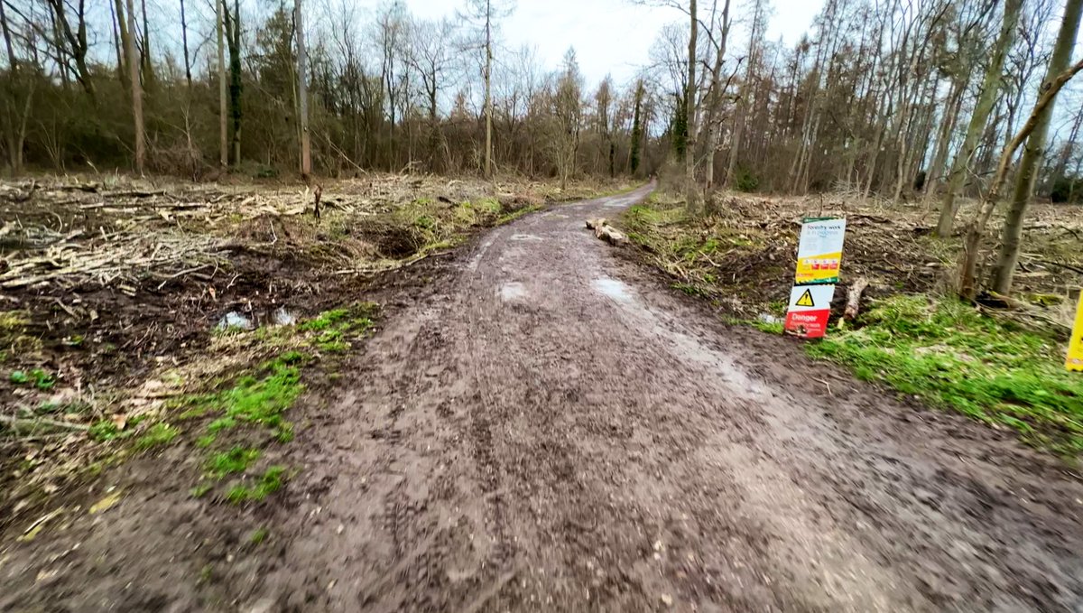 Joel Ashton 🍃🌳🍃 tweet media