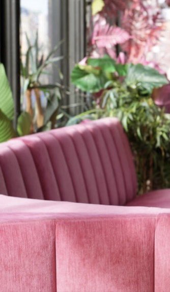 Suzanne Alejandre tweet media