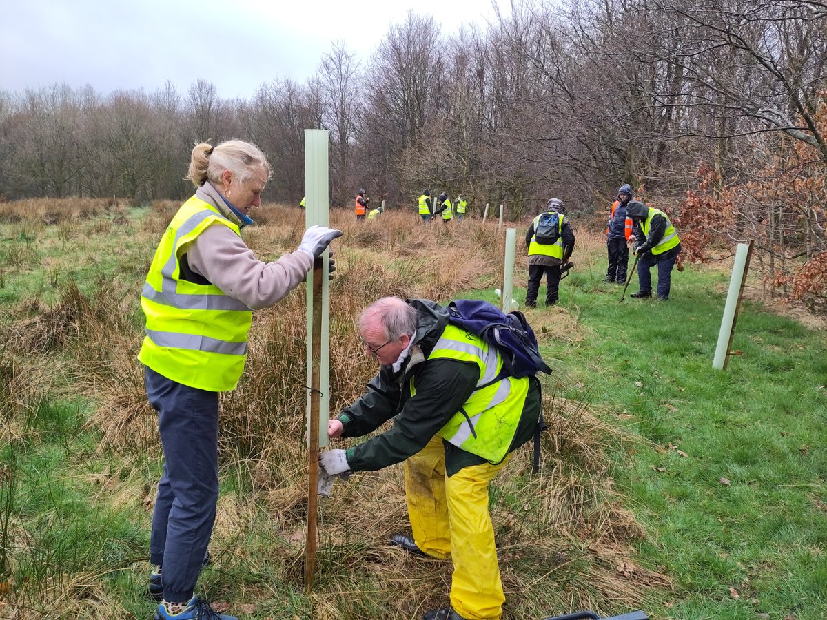 Prospects1998's tweet photo. THANK YOU to everyone who has helped us plant 2,000 trees across Hyndburn this month!🌳

On Tuesday we created guilds of canopy trees for future generations to enjoy at Bullough Park

@treesforcities #TreePlanting #GenerationTree #HealthierCities #UrbanGreening https://t.co/x2iPwFG1HU