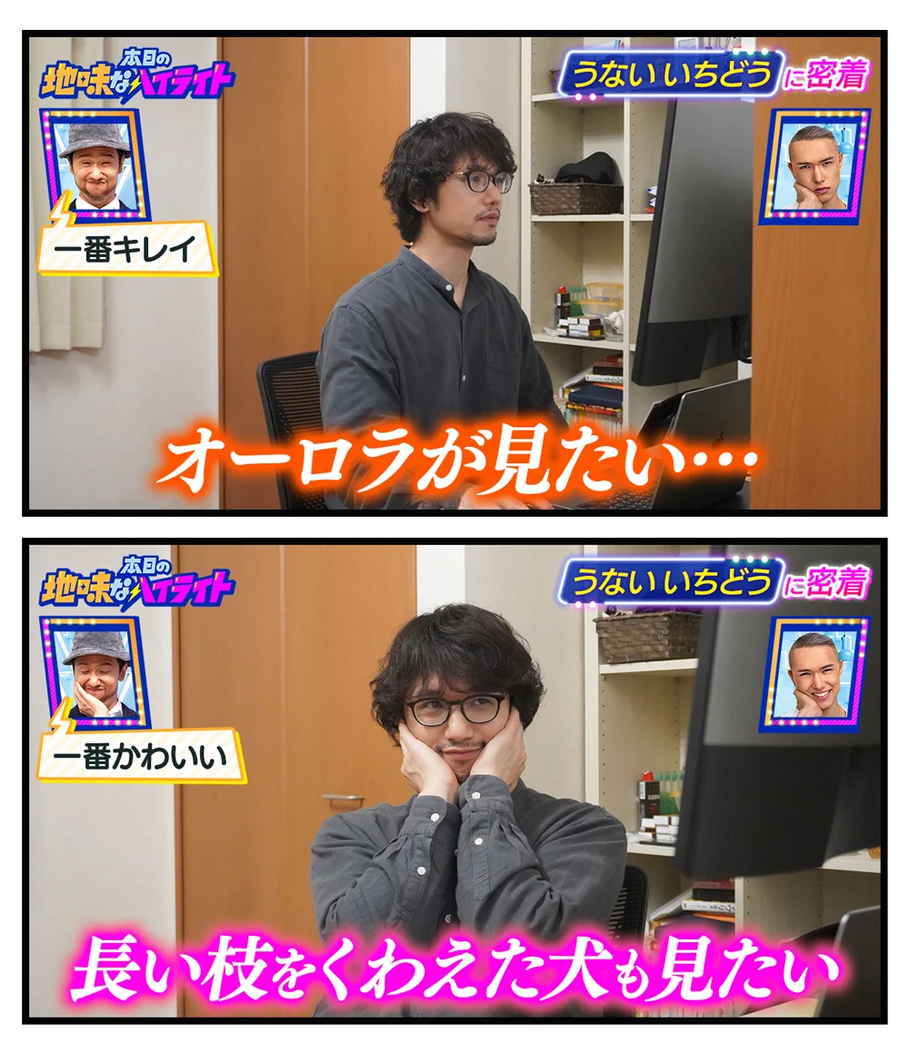 オーロラも見たいけど…長い枝をくわえた犬も見たい！！