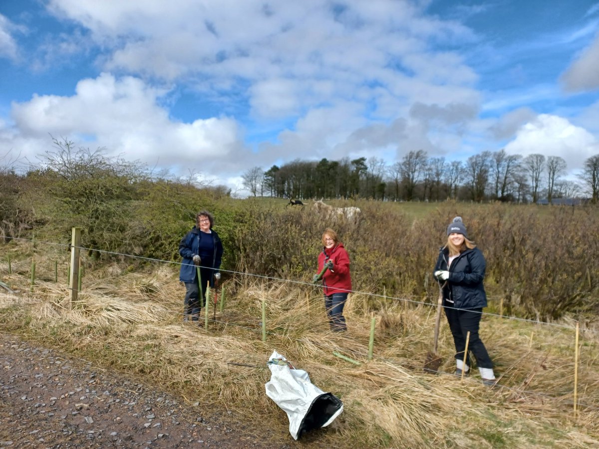 EadhaAspen's tweet photo. The showers stayed away for our planting session this morning at beautiful Lukeston Farm in the Renfrewshire Heights #KillochriesFold. Beefing up shelterbelts #restorativefarming #volunteering https://t.co/oNoMHuJCmt