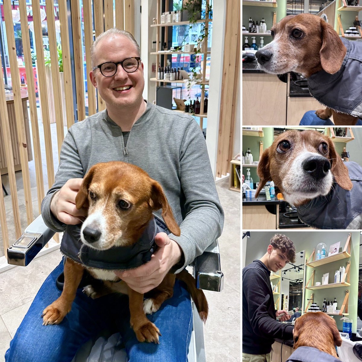 Marc Silk - Voice Actor tweet media