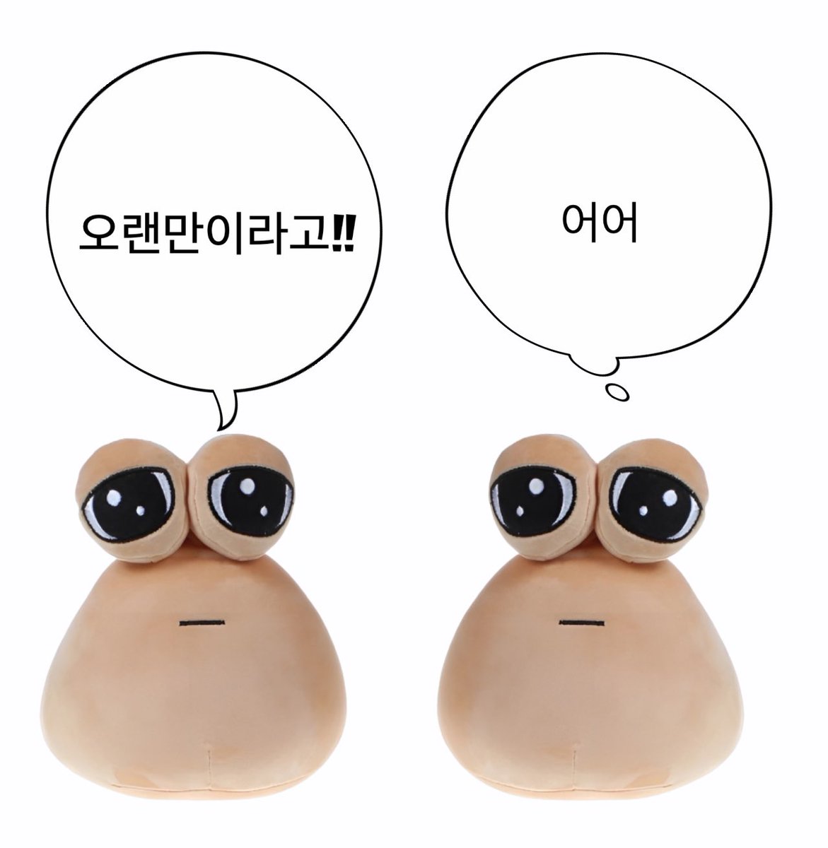 napou0169's tweet photo. 나캠든 형제 https://t.co/gVZy7RVdOM