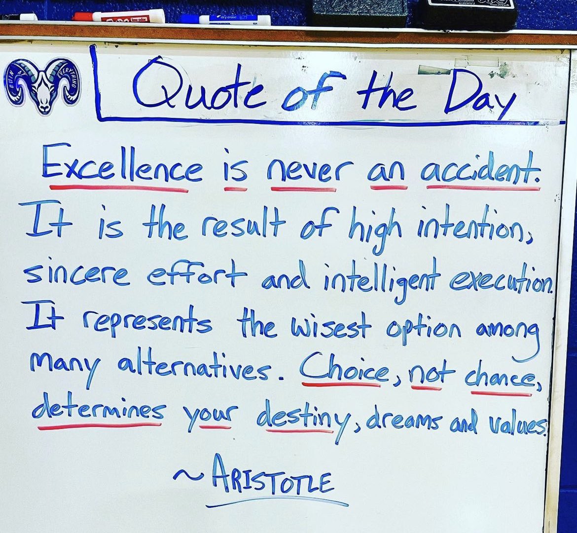 Brandee Morris tweet media