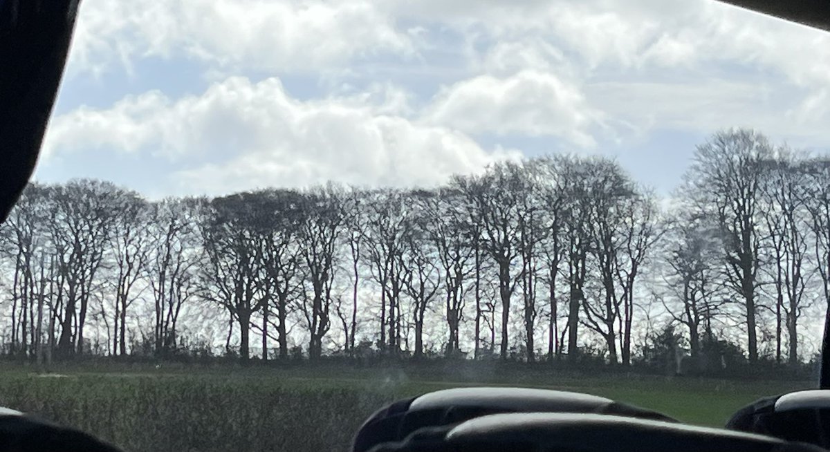 katesutton70's tweet photo. We have had a beautiful day today in Warter @childrensuni Paintbox trip where the children experienced David Hockney inspiring landscapes, soaring red kites, new lambs and wonderful art experiences #Paintbox #Warter #Hockney https://t.co/nw0JUvCFgE