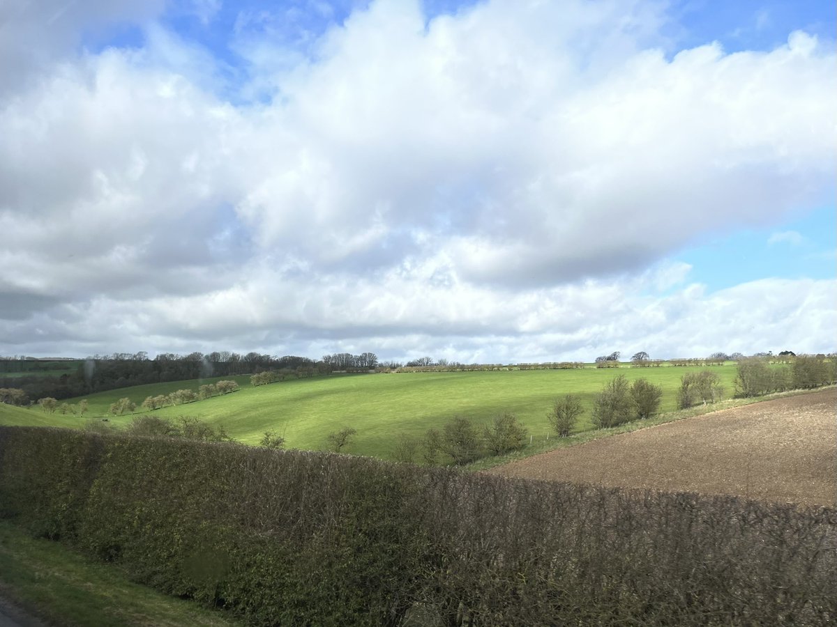 katesutton70's tweet photo. We have had a beautiful day today in Warter @childrensuni Paintbox trip where the children experienced David Hockney inspiring landscapes, soaring red kites, new lambs and wonderful art experiences #Paintbox #Warter #Hockney https://t.co/nw0JUvCFgE