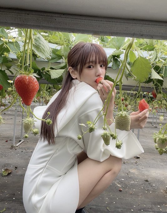 夏本あさみ