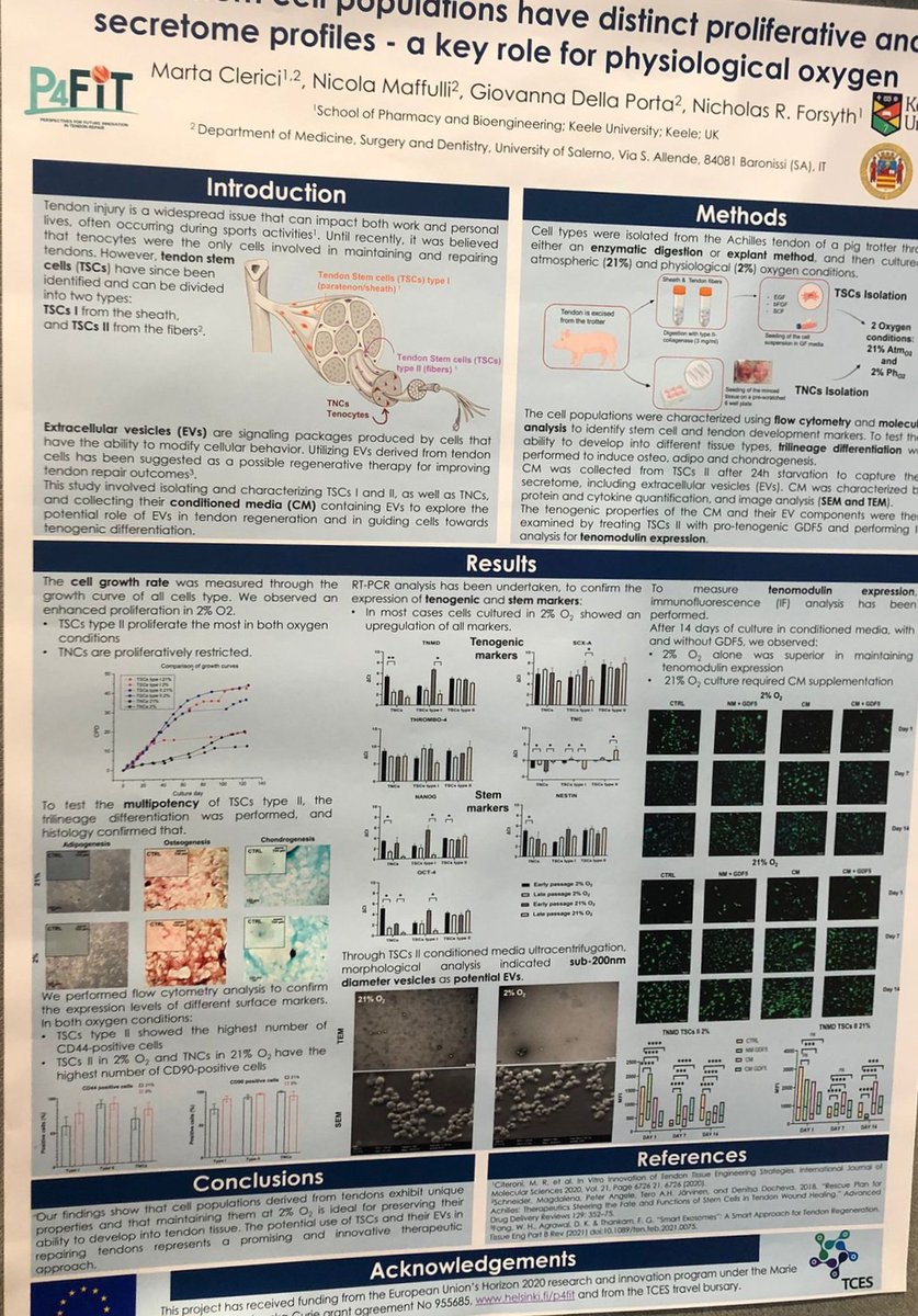DellaPortaLab's tweet photo. Proud of our #ESR belonging to #p4fit Research #Horizon2020 #MSCA Project.

@MartaClerici had a great presentation of her activity on tendon stem cells. https://t.co/Rkv5fkbc5U