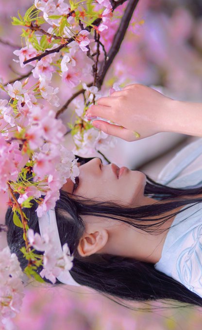 [魔道祖師/藍忘機]狼狼 