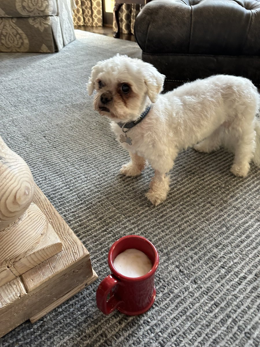 Enjoying my morning cappuccino