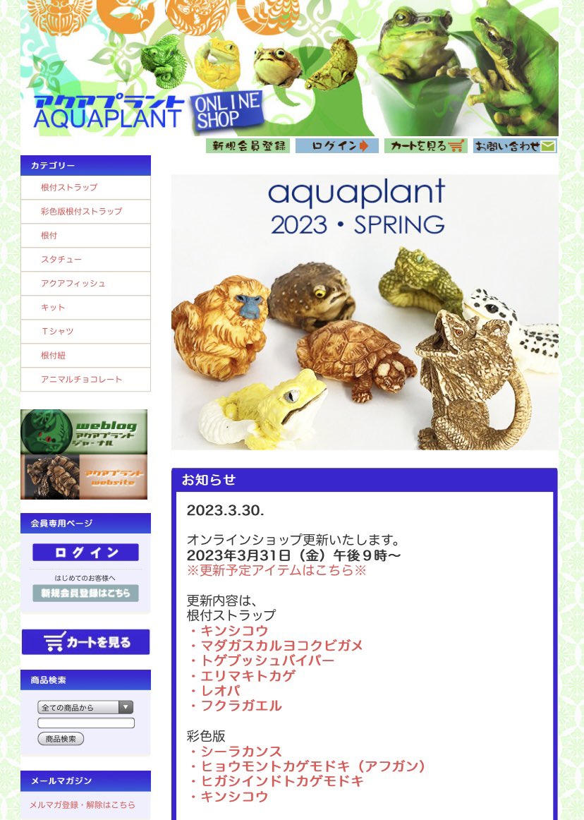 アクアプラント製 マタマタ 根付 カメ 亀 （守亜（もりあ