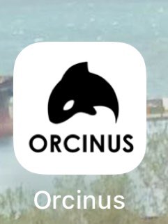 Delighted with the work done by @NautilusGib in launching their Orcinus app. Very pleased to support them always. Worth a download if you’re going to be anywhere near #Orcas.