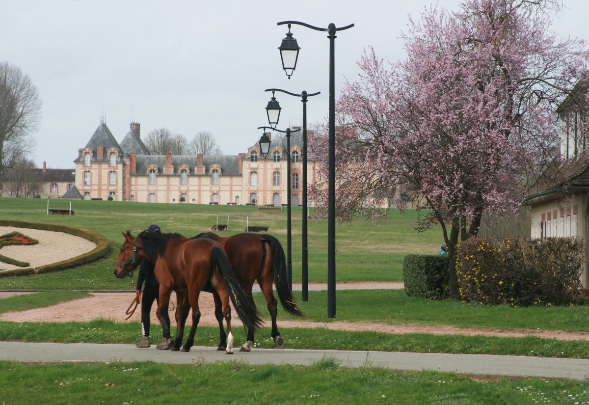 Domaine de Grosbois tweet media