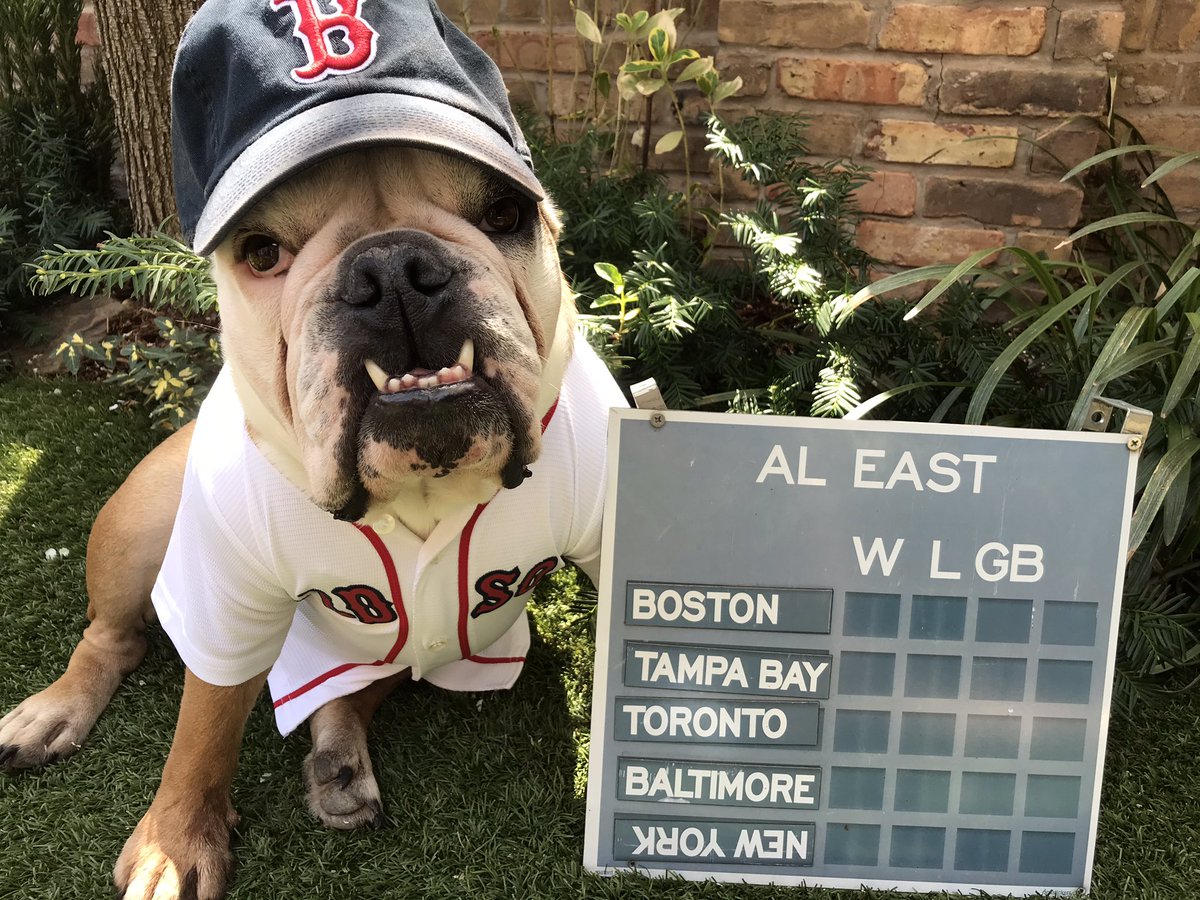 Lil_Fen's tweet photo. Hey friends! It’s #MLBOpeningDay ….Let’s see who you are cheering for…. #RedSoxNation #DogsofTwittter https://t.co/X0ysdd0Vdz