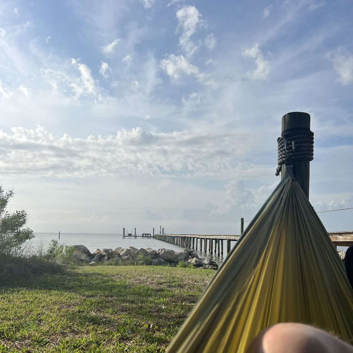 mac_cheeves's tweet photo. Apalachicola 2023 🌴🐊🏃🏻🐍🌅🦪

🎶 @ScottyMcCreery #thedash https://t.co/GKLFMVbLwf