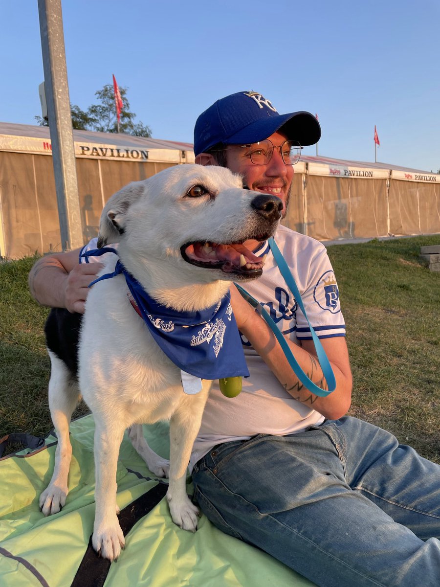CaitlinHarveyWX's tweet photo. Happy Opening Day from Noodle and Starbuck! #OpeningDay #BringOutTheBlue #KCRoyals https://t.co/IlTiurSqRx