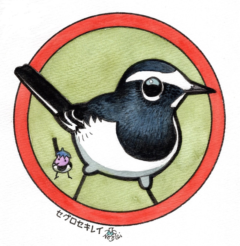 「「缶バッジの鳥たち」セグロセキレイ。 」|富士鷹なすびのイラスト