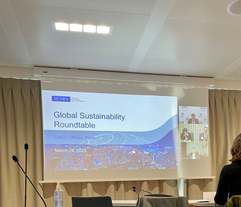 IESBA held its first in a series of four global roundtables on sustainability in Paris last Friday. Participants from a variety of stakeholder groups, including AccountAbility’s Tom Mytton, were updated on IESBA’s work. #ESG #sustainability