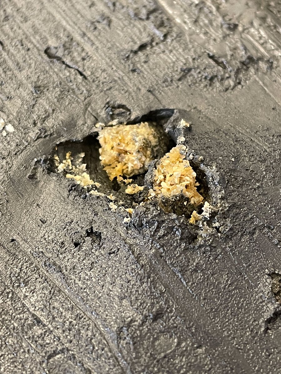 VolkerDiekamp's tweet photo. Today we discovered small crystals of the rare #ikaite in a freshly opened #gravitycorer #core drilled in a #greenland fjord during the #MSM111 research cruise last year. The drill core so far was stored refrigerated at 4 degrees - otherwise the #ikait would have already decayed. https://t.co/lQlUyg6apF