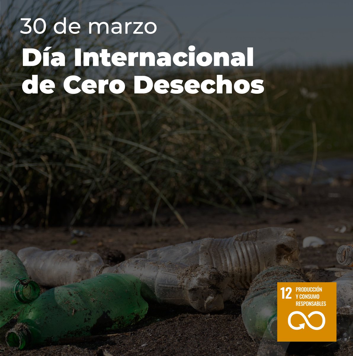 ¿Sabías qué? Si el desperdicio de alimentos fuese un país, este ocuparía el tercer lugar entre las principales fuentes de gases de efecto invernadero.

Este día tiene como objetivo fomentar la transición a una economía circular y crear conciencia sobre el impacto de los desechos.