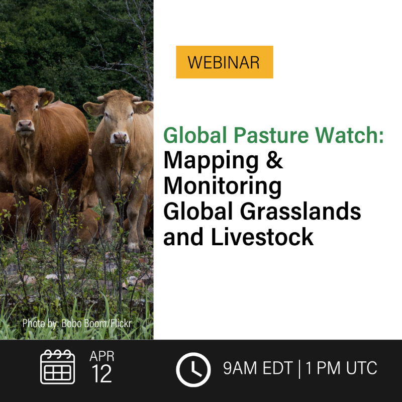 landcarbonlab's tweet photo. Join us 4/12 to learn more about Global Pasture Watch, our new research consortium!

Gain insights on land use conversion, food production, land productivity, and impacts for biodiversity &amp; climate change at a global scale 🌍

Interpretation is available in Portuguese &amp; Spanish.