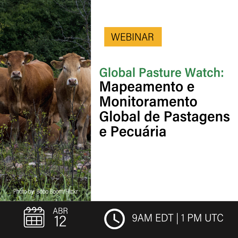 landcarbonlab's tweet photo. Join us 4/12 to learn more about Global Pasture Watch, our new research consortium!

Gain insights on land use conversion, food production, land productivity, and impacts for biodiversity &amp; climate change at a global scale 🌍

Interpretation is available in Portuguese &amp; Spanish.