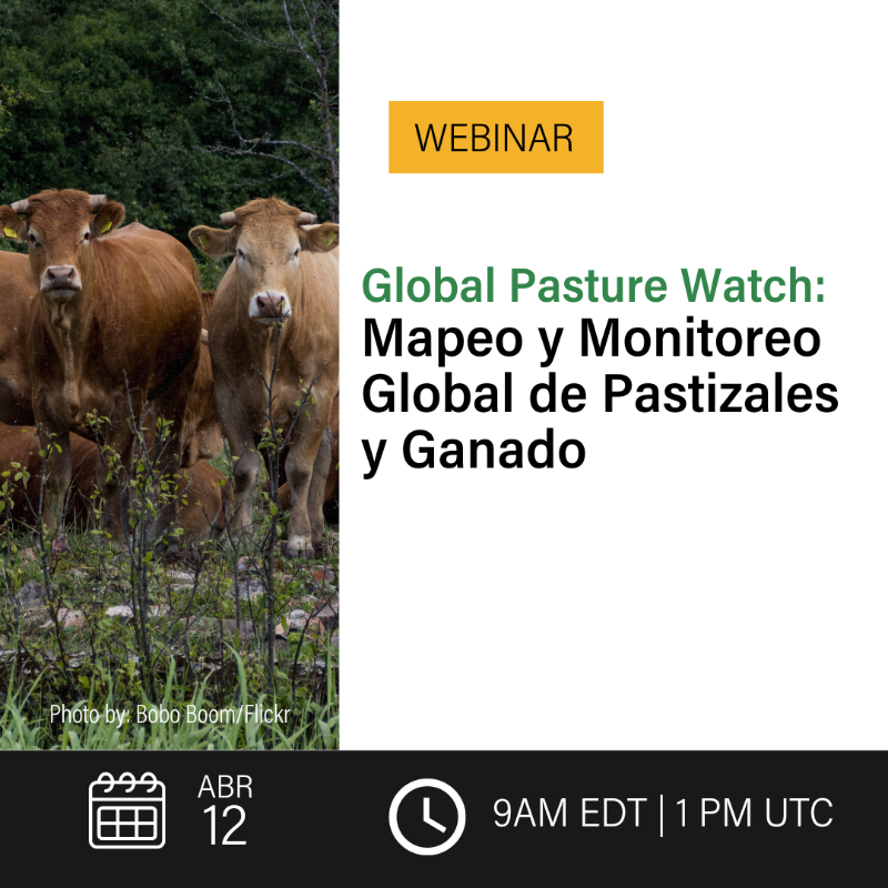 landcarbonlab's tweet photo. Join us 4/12 to learn more about Global Pasture Watch, our new research consortium!

Gain insights on land use conversion, food production, land productivity, and impacts for biodiversity &amp; climate change at a global scale 🌍

Interpretation is available in Portuguese &amp; Spanish.