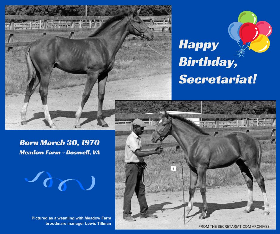 Secretariat tweet media
