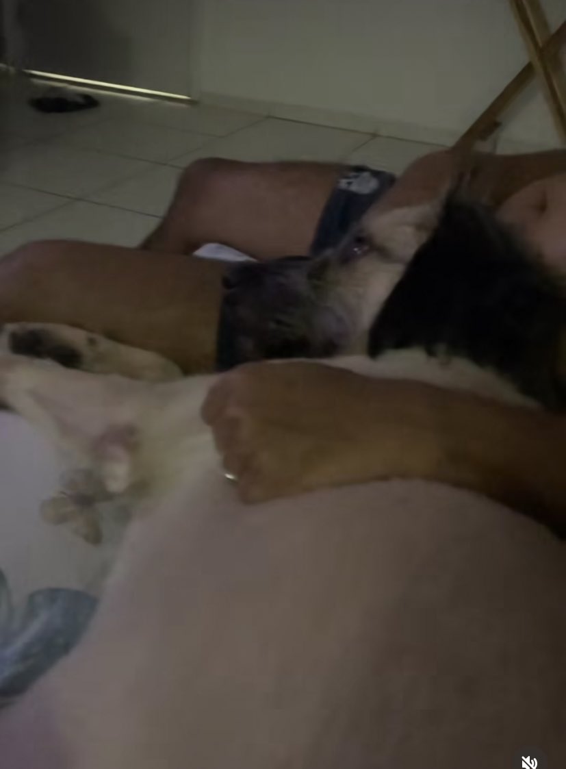 DuDudEddu's tweet photo. #MaisVoce eu e Thor estamos acompanhando a reportagem de como gastar menos❤️🥰 #talascado  #maisvoce #anamariabraga https://t.co/bNI07MUYgj