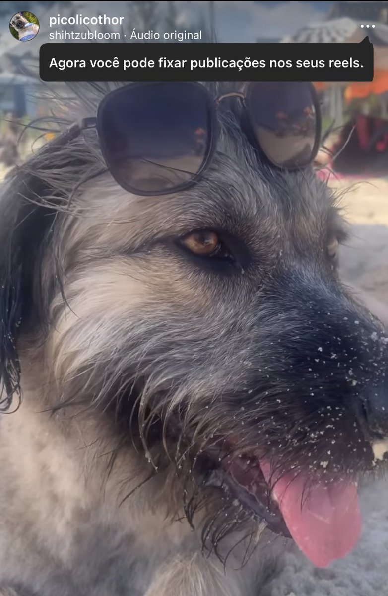 DuDudEddu's tweet photo. #MaisVoce eu e Thor estamos acompanhando a reportagem de como gastar menos❤️🥰 #talascado  #maisvoce #anamariabraga https://t.co/bNI07MUYgj