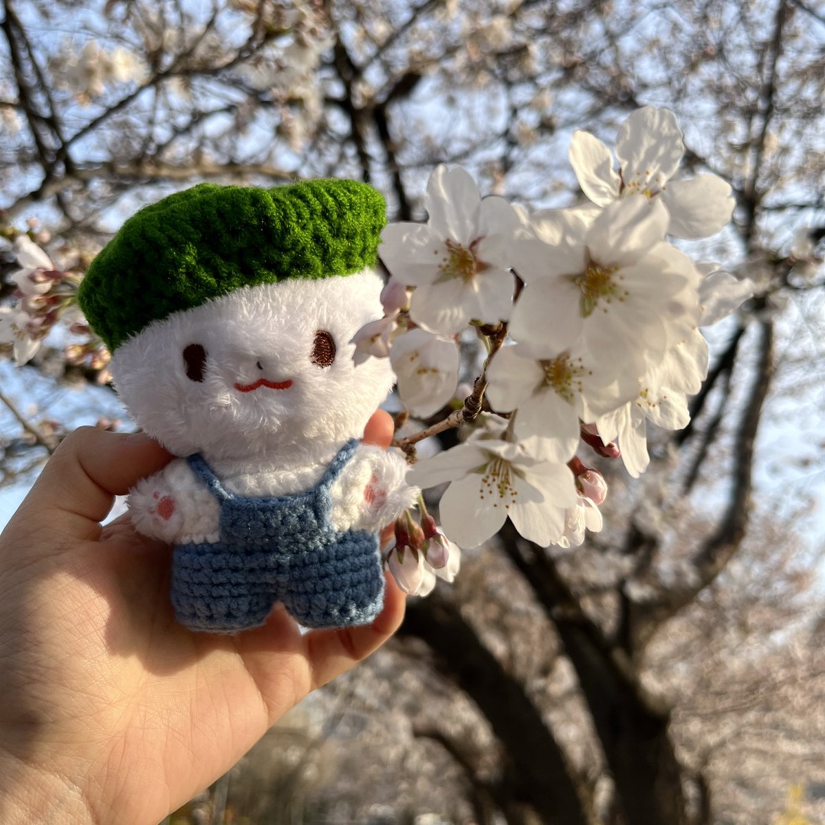 Dongle_mmm's tweet photo. 꼬까옷 입고 봄 나들이 갑니다~🌸🌼

댕구 멜빵이랑 베레모 넘 찰떡이지 않니..?🥹
얘두라 너네 인형도 봄인데 꼬까옷 입혀주자
٩(๑❛ᴗ❛๑)۶

⬇️⬇️
https://t.co/yoV9baSgUk

#작뜨팩토리뷰 @JagSabu https://t.co/IFg2sKGksK