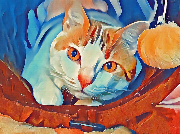 BoisvertLeo's tweet photo. New artwork for sale! - "I'm Watching You" - https://t.co/XVkdnqA5aO @fineartamerica https://t.co/QfmPuoklIe