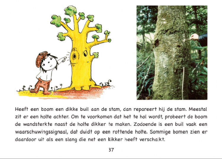 BomenAchterhoek's tweet photo. Boek over 'lichaamstaal van bomen' van Claus Mattheck in Nederlands verkrijgbaar https://t.co/39VvJu01NW https://t.co/7jgazdftFV