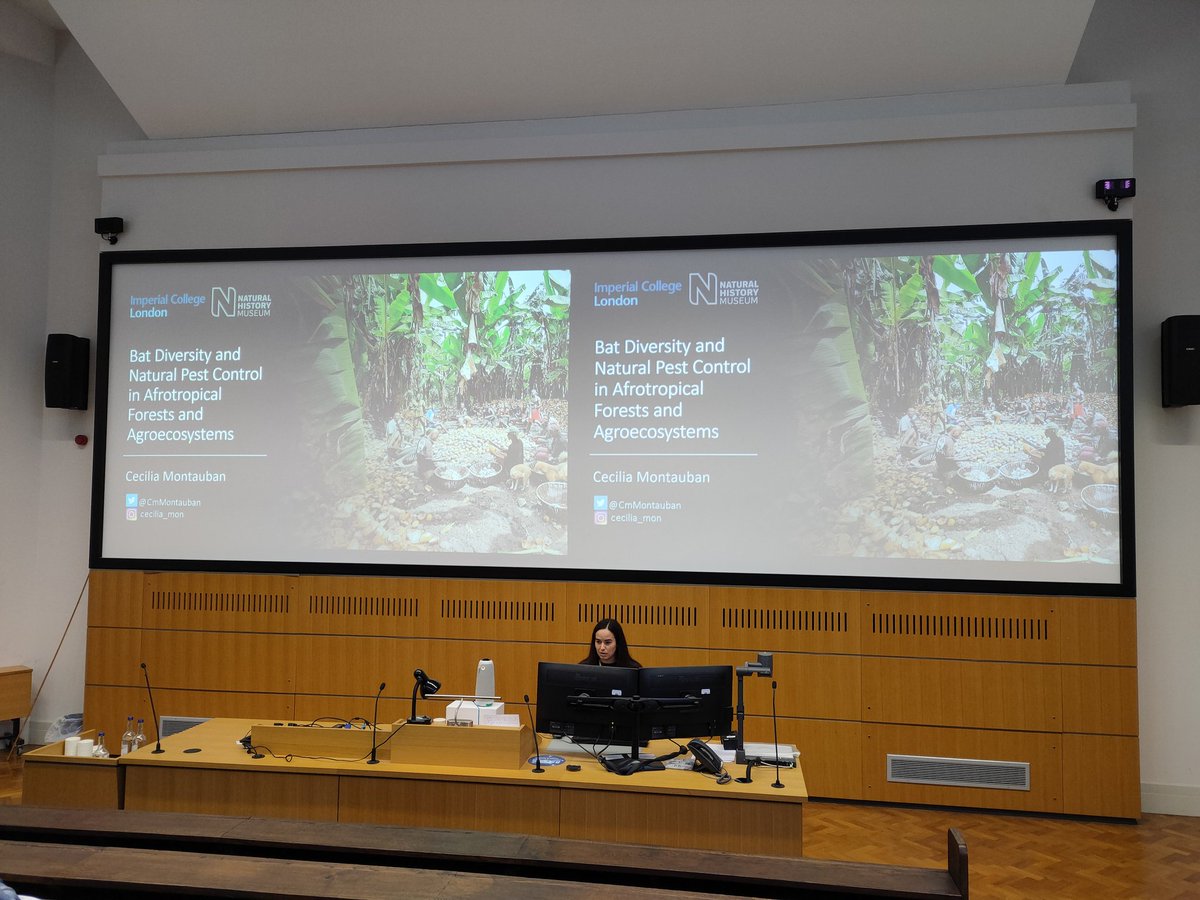 Splendid, as always, <a href="/CmMontauban/">Cecilia Montauban 🦇🐾</a> talk about 🦇 diversity and natural 🪳🦟🌾 control in forest and agricultural landscapes of Ghana &amp; Zambia 
#SCCS2023 #EcosystemServices