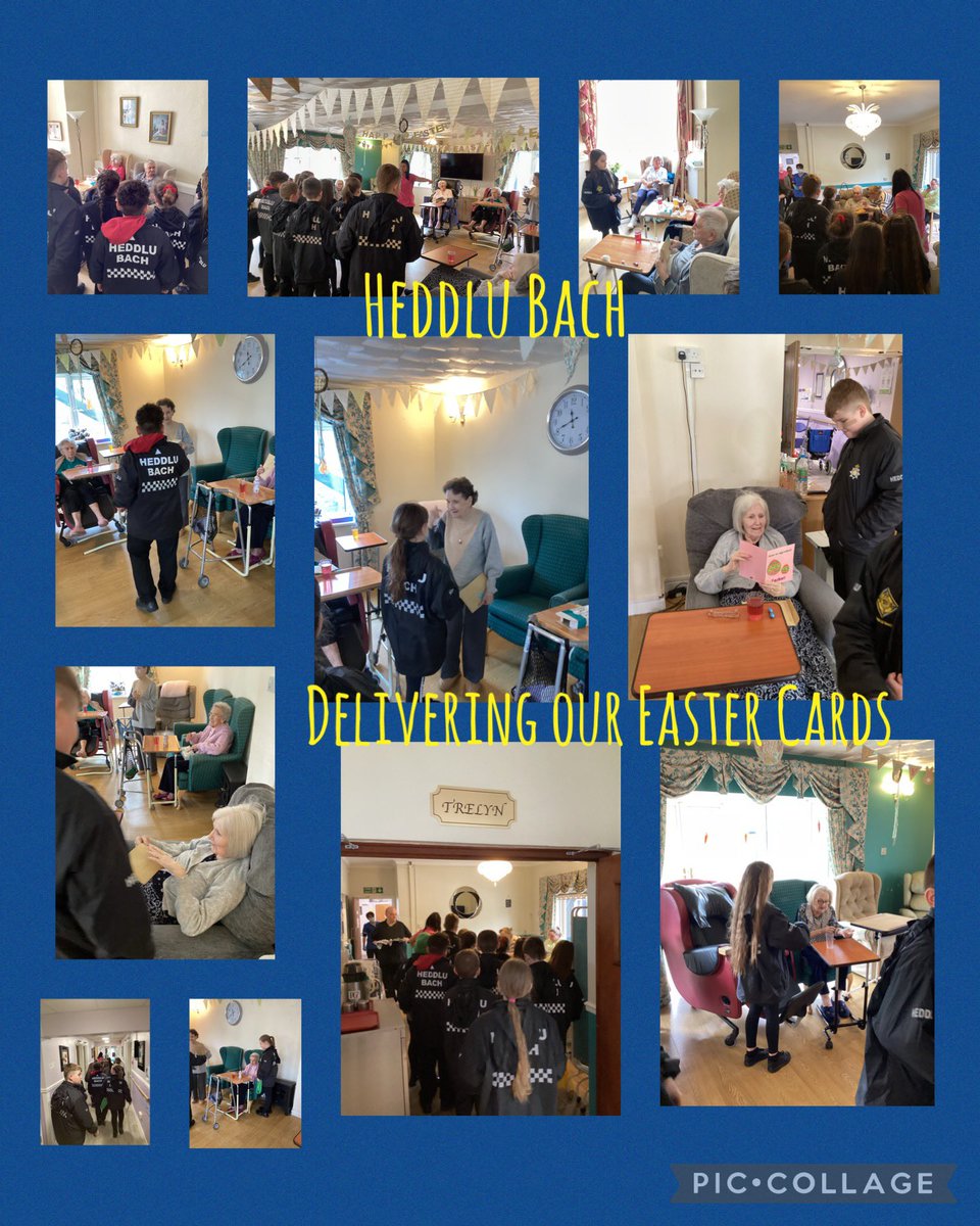 Pengam Year 5 tweet media