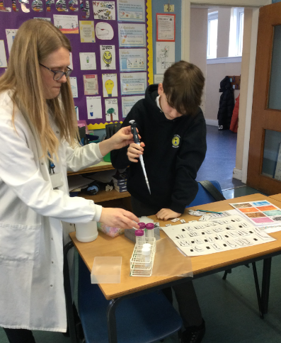 EagleshamPS's tweet photo. Mrs Nicolson visited P7 to tell them about her work as a clinical scientist. They made a model of DNA helix and used some lab equipment.🧬 #EPSSTEM https://t.co/lH83gLU9Uh