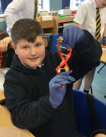 EagleshamPS's tweet photo. Mrs Nicolson visited P7 to tell them about her work as a clinical scientist. They made a model of DNA helix and used some lab equipment.🧬 #EPSSTEM https://t.co/lH83gLU9Uh