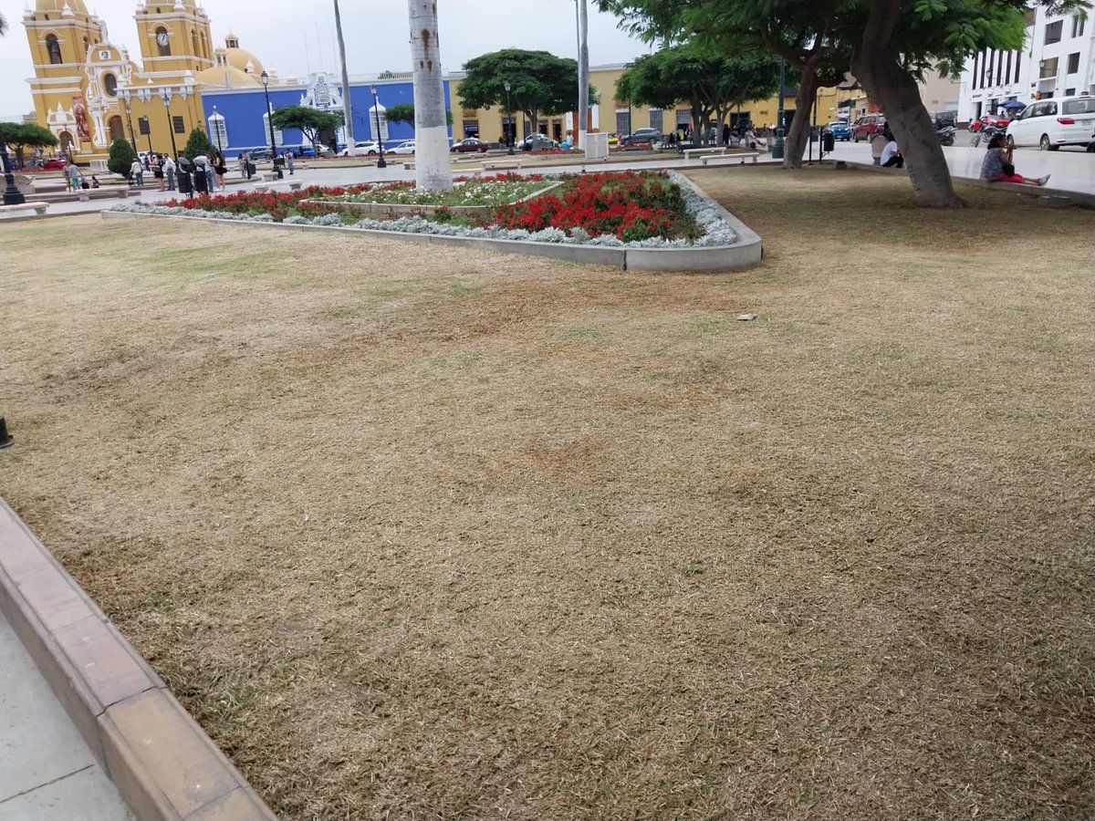 ntrujillo_pe's tweet photo. 🔴📌 #Insólito | Este es el estado de las áreas verdes de la plaza de Armas de Trujillo. Según personal del Segat, se debe a la falta de agua.
#NoticiasTrujillo #MPT #Segat
🚨Denuncias al 📲 943 333 021 https://t.co/iDrZNi0Fpa