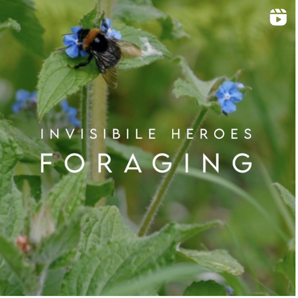 Hannah Walker tweet media