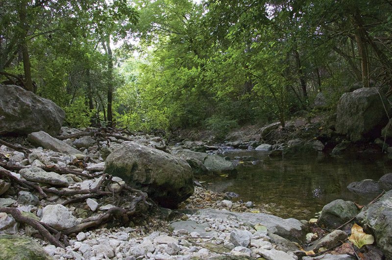 HighOaksTX's tweet photo. Happy #TakeAWalkInTheParkDay!

Enjoy nearby ‘Great Hills Park’, where you will see gorgeous nature, waterfalls, and they even have exercise equipment!

#LoveWhereYouLive #Austin #GetOutside #WeLoveOurResidents #GreatHills https://t.co/claO6TWXrC
