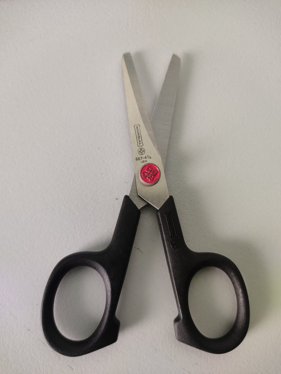 Depois de ter formado até na faculdade, consegui realizar meu sonho de ter essa tesourinha ✂️😊 na época de escola, só tinha essa tesoura quem tinha cash 💸🤣🤣 fui na papelaria imprimir umas coisas e vi ela por acaso kkk tooop hein 🤭🤭 #ÉSerioNãoRi