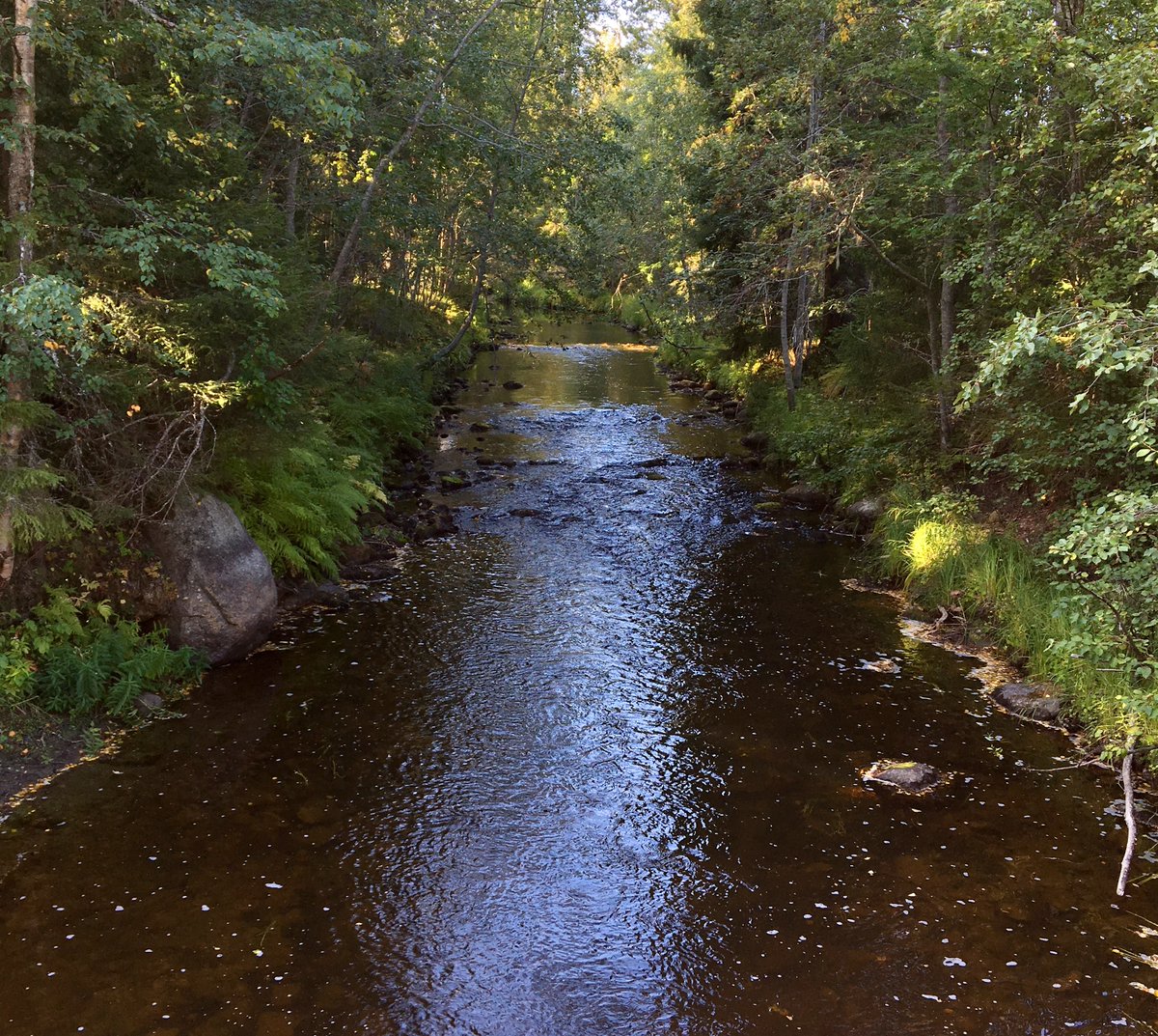 Micael Jonsson (@mickej72) on Twitter photo PhD-student position to apply for! The project, with a focus on land-water interactions, is financed by <a href="/Vetenskapsradet/">Vetenskapsrådet</a> and will be carried out in <a href="/Krycklan1/">Krycklan</a> Let's go, it will be fun! <a href="/KuglerovaStRipE/">Lenka Kuglerová @kuglerovastripe.bsky.social</a> <a href="/umeauniversitet/">Umeå universitet</a> @_SLU umu.se/en/work-with-u… PhD-student position to apply for! The project, with a focus on land-water interactions, is financed by <a href="/Vetenskapsradet/">Vetenskapsrådet</a> and will be carried out in <a href="/Krycklan1/">Krycklan</a> Let's go, it will be fun! <a href="/KuglerovaStRipE/">Lenka Kuglerová @kuglerovastripe.bsky.social</a> <a href="/umeauniversitet/">Umeå universitet</a> @_SLU umu.se/en/work-with-u…