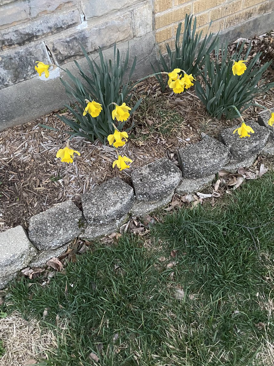 penjournalism's tweet image. Spring Break A-Town edition hot off the presses. Read all about it. bit.ly/3zhhezQ