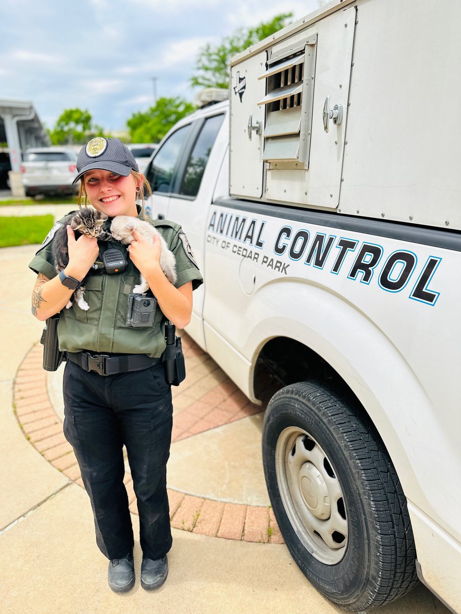 CedarParkPD's tweet photo. As we wrap up #WomensHistoryMonth, there are amazing women that shape this department.
Including our #FaceoftheForce, Animal Control Officer Daryann or "D"
She's been here 6 months & has experience working with exotic animals.
D loves to crochet, paint & train w/ her cats & dogs https://t.co/9vU71EbRdY